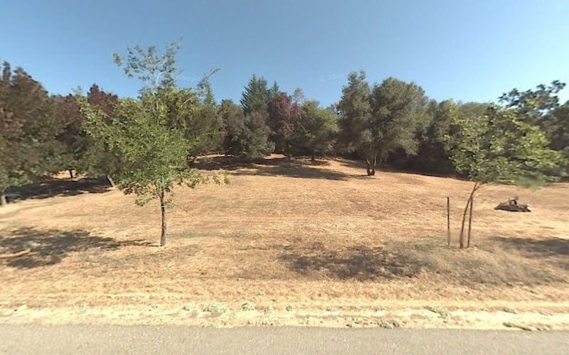 Carol Eichman-Electrologist