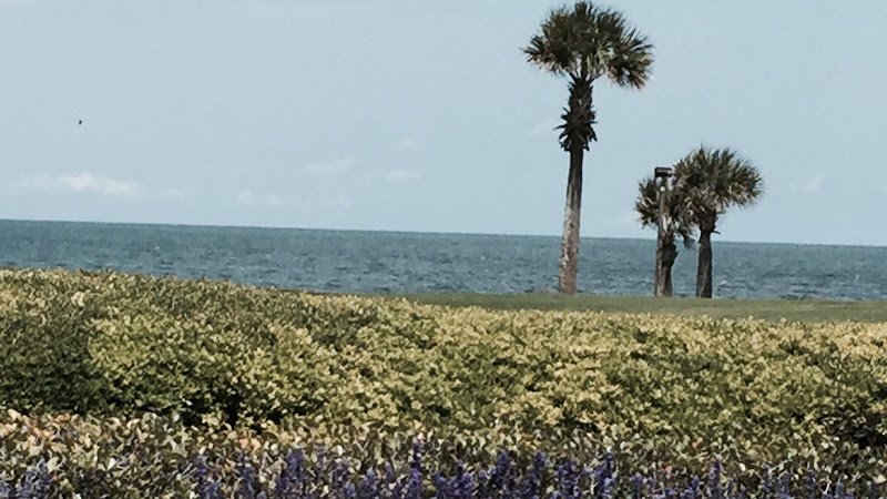 Surgical Dermatology & Laser