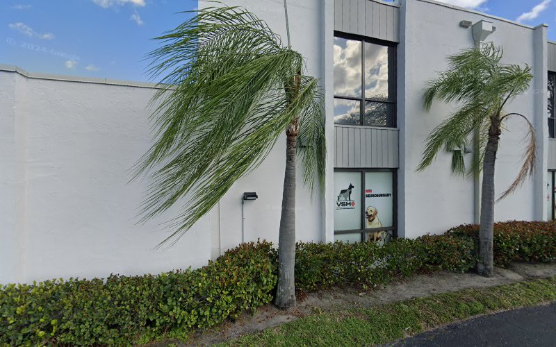 Laser Focused Palm Beach