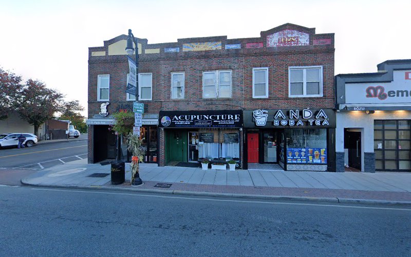 Advantage Acupuncture Therapy, PC/ Adrianne Conforti MS, LAc, LMT and Andrew Kaplan MS, LAc