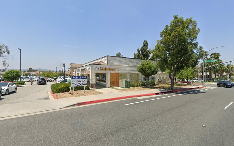 Dr.Midas Medical Group Inc