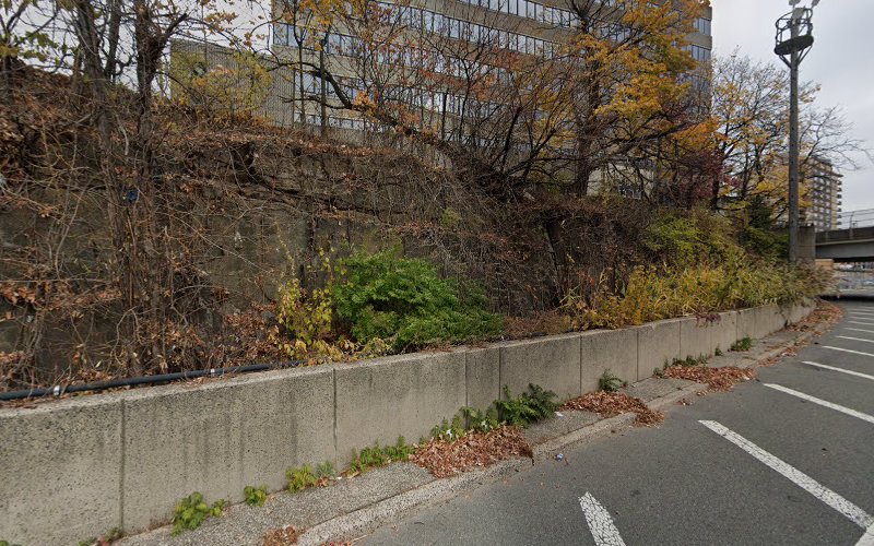 Laser hair removal Fort Lee