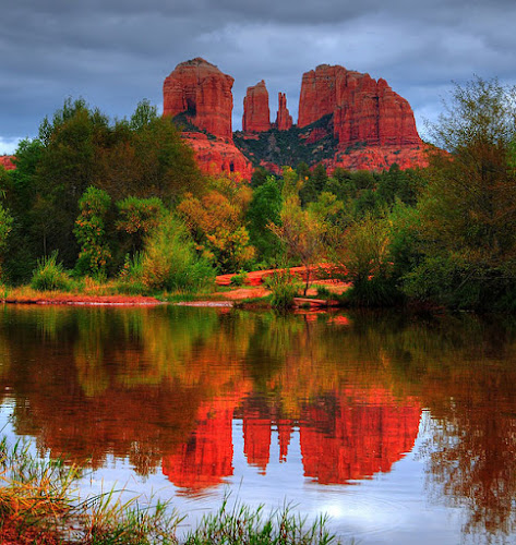 Stacy L. Davidson, FNP-BC