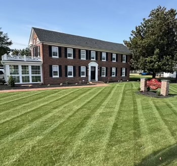 Rejuvenation Skin Wellness & Aesthetics