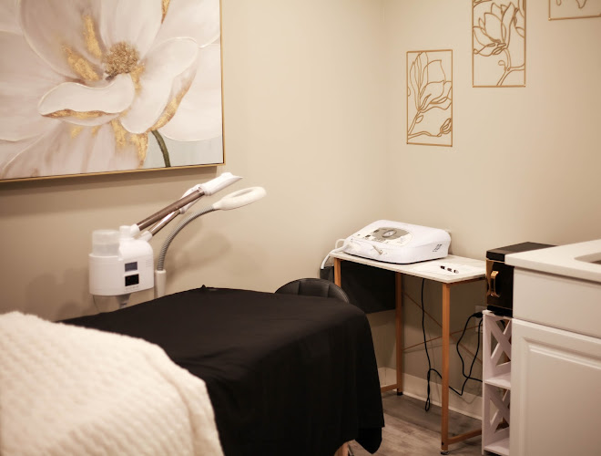Iconic Medical Arts | Dr. Laleh Radfar-Baublitz| Lancaster/Lititz, PA Medical Spa
