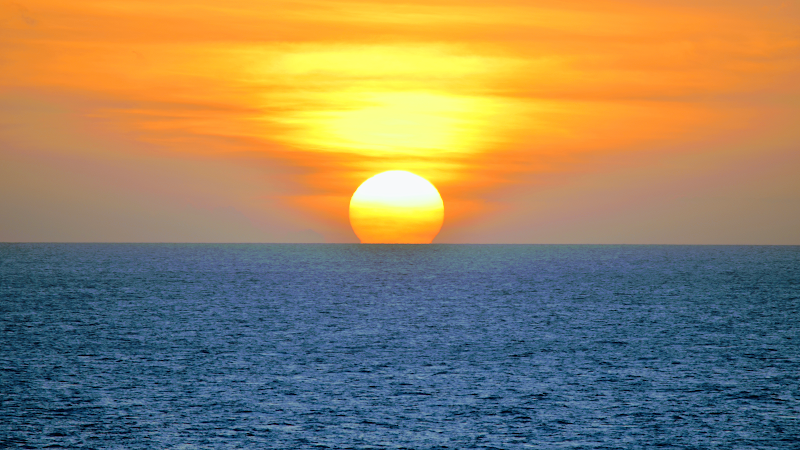 Noah Starkey MD Primary Care Internal Medicine PCP Travel Medicine DOT USCIS