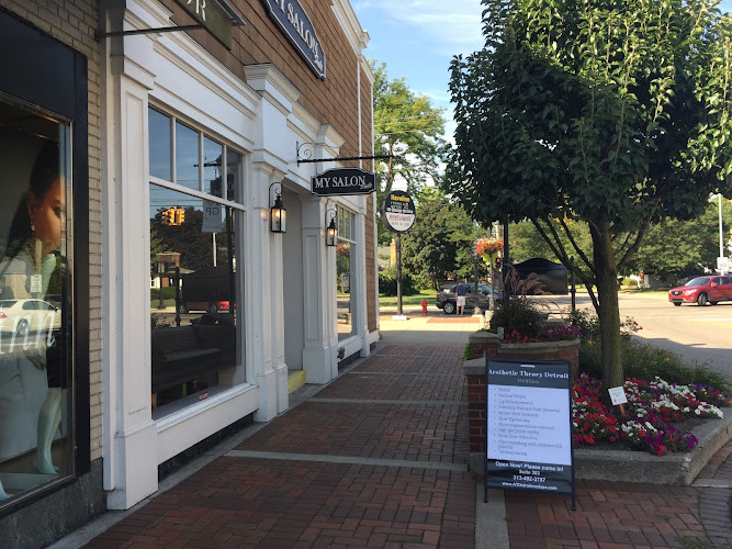 Aesthetic Theory Medspa