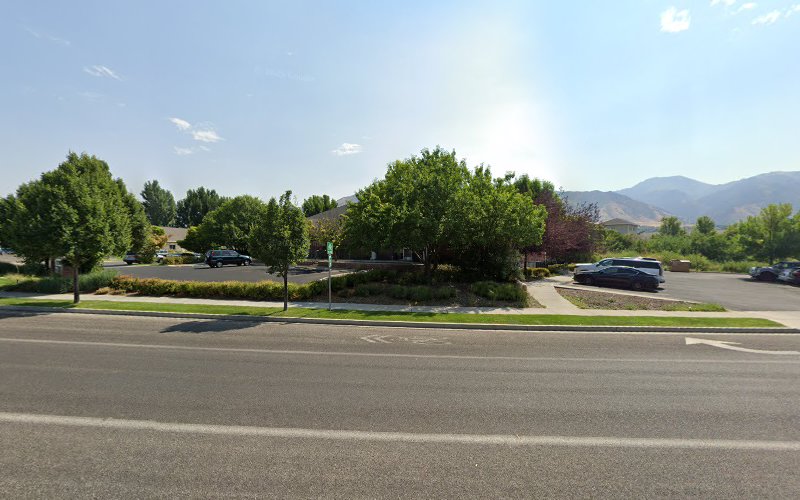 Belladante Medical Institute