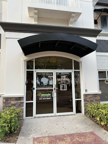 FGR Esthetic Center LLC/ Laser Hair Removal