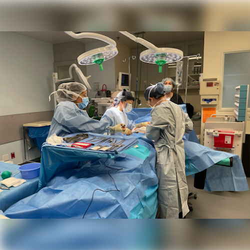 Gemini Plastic Surgery Aesthetics and Laser Center