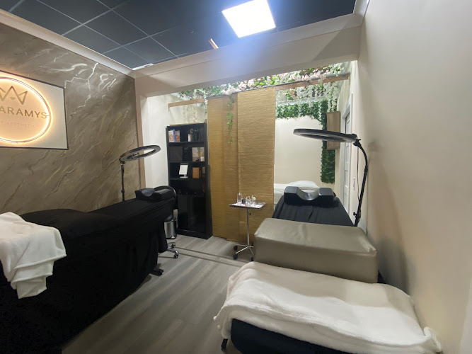 Amaramys art aesthetic