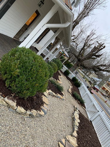 The Fork Functional Medicine