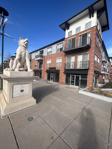 Artful Aesthetic Medicine