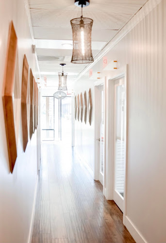 Wild Blush Premium Salon Suites