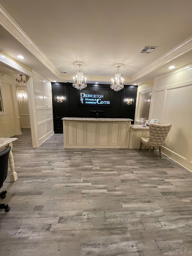 Princeton Aesthetics