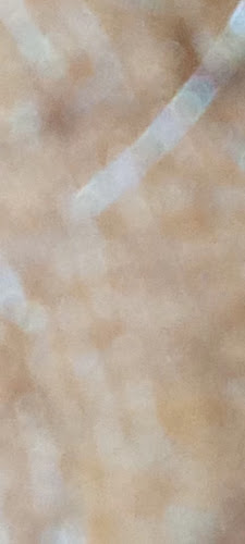 Sheep IN Wolf Clothes