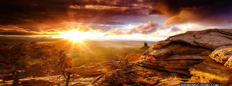 Arizona Bariatric Institute, P.C.