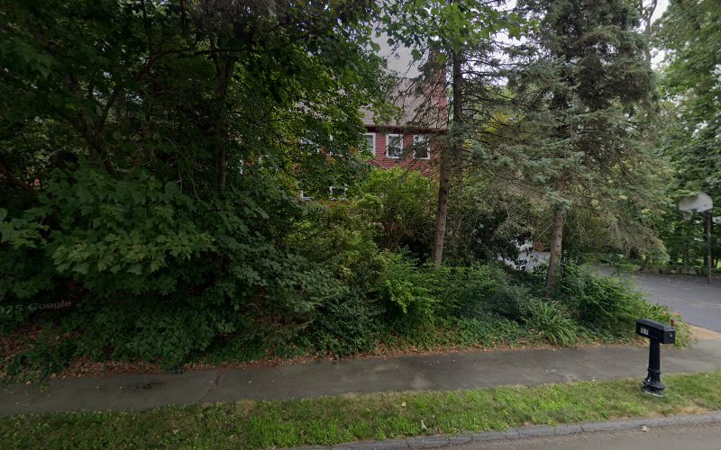 Bellino Electrolysis