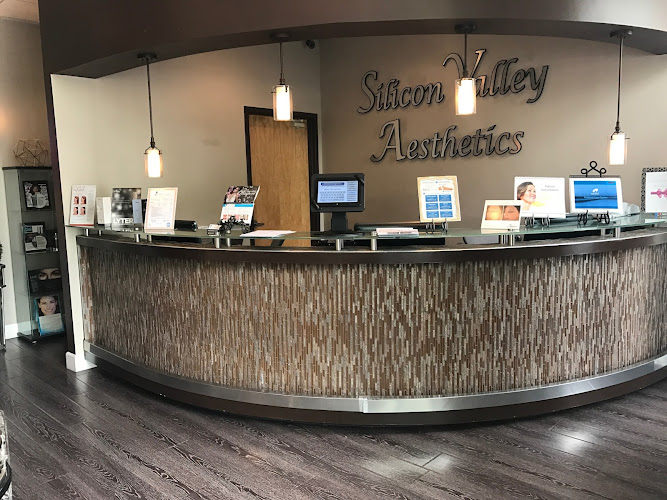 Silicon Valley Aesthetics