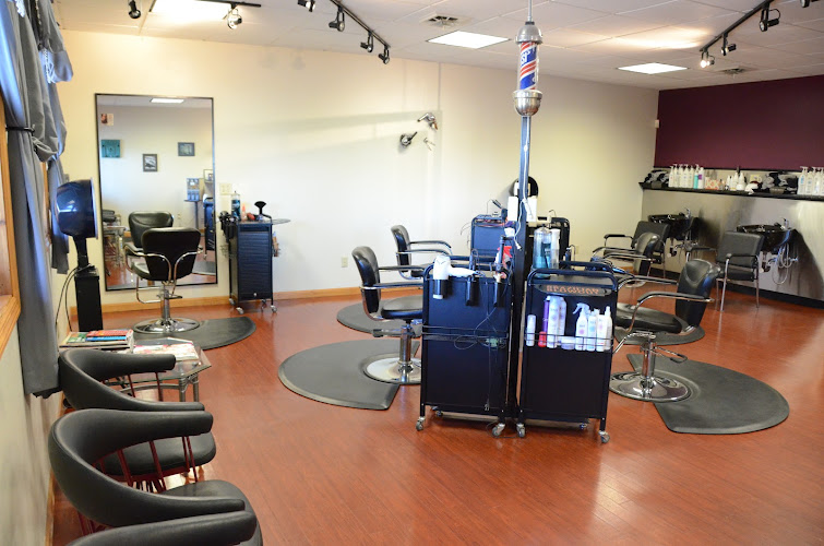 All Cut Up Salon