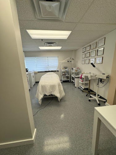 Lemiere Esthetics & Electrolysis - Waxing & Skincare in Woburn