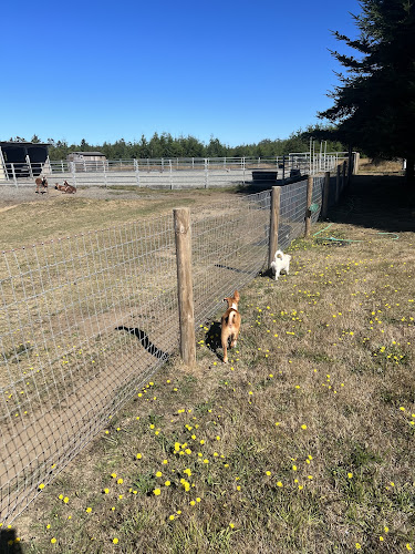 Sunny Patch Ranch - Coastal Farmstay Lodge, Advanced Esthetics & Laser Spa